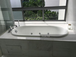 CityVista Residences (D9), Condominium #142891872